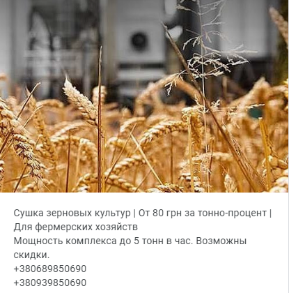 Сушка зерновых  бобовых и масличных сельскохозяйственных культур 