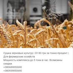 Сушка зерновых  бобовых и масличных сельскохозяйственных культур 